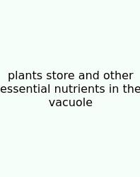Plants Store And Other Essential Nutrients In The Vacuole