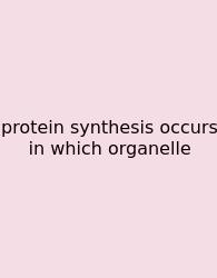 Protein Synthesis Occurs In Which Organelle