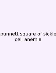 Punnett Square Of Sickle Cell Anemia
