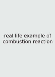 Real Life Example Of Combustion Reaction