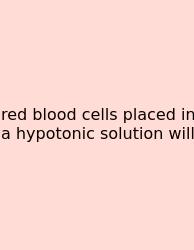Red Blood Cells Placed In A Hypotonic Solution Will