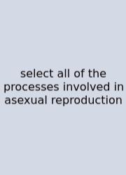 Select All Of The Processes Involved In Asexual Reproduction
