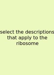 Select The Descriptions That Apply To The Ribosome