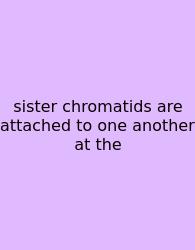 Sister Chromatids Are Attached To One Another At The