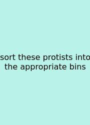 Sort These Protists Into The Appropriate Bins