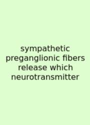 Sympathetic Preganglionic Fibers Release Which Neurotransmitter
