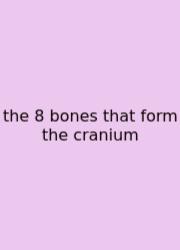 The 8 Bones That Form The Cranium