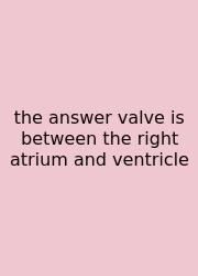 The Answer Valve Is Between The Right Atrium And Ventricle