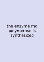 The Enzyme Rna Polymerase Is Synthesized