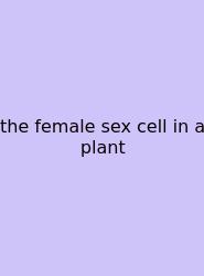 The Female Sex Cell In A Plant