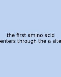 The First Amino Acid Enters Through The A Site