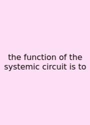 The Function Of The Systemic Circuit Is To