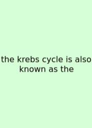 The Krebs Cycle Is Also Known As The