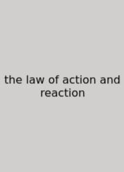 The Law Of Action And Reaction