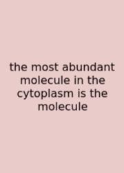 The Most Abundant Molecule In The Cytoplasm Is The Molecule