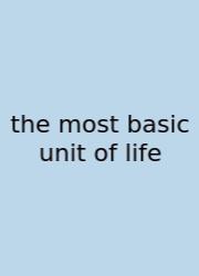 The Most Basic Unit Of Life