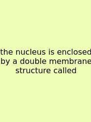 The Nucleus Is Enclosed By A Double Membrane Structure Called