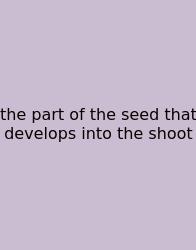 The Part Of The Seed That Develops Into The Shoot