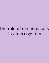 The Role Of Decomposers In An Ecosystem