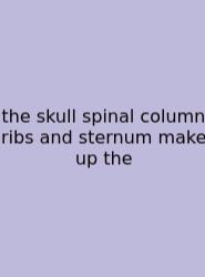 The Skull Spinal Column Ribs And Sternum Make Up The