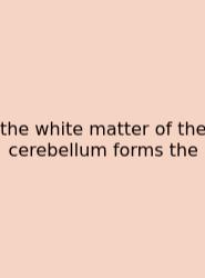 The White Matter Of The Cerebellum Forms The