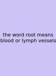 The Word Root Means Blood Or Lymph Vessels