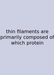 Thin Filaments Are Primarily Composed Of Which Protein