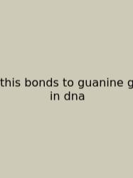 This Bonds To Guanine G In Dna