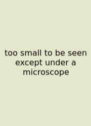 Too Small To Be Seen Except Under A Microscope