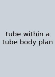 Tube Within A Tube Body Plan