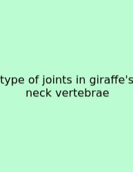 Type Of Joints In Giraffe's Neck Vertebrae
