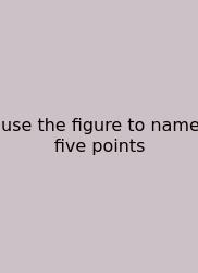 Use The Figure To Name Five Points