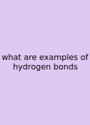 What Are Examples Of Hydrogen Bonds