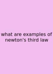 What Are Examples Of Newton's Third Law
