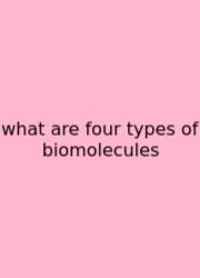 What Are Four Types Of Biomolecules
