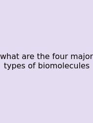 What Are The Four Major Types Of Biomolecules