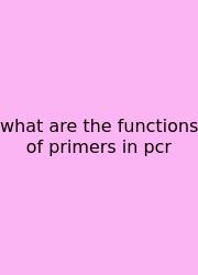 What Are The Functions Of Primers In Pcr