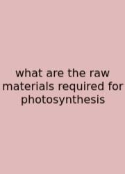 What Are The Raw Materials Required For Photosynthesis