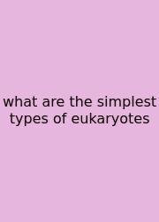 What Are The Simplest Types Of Eukaryotes
