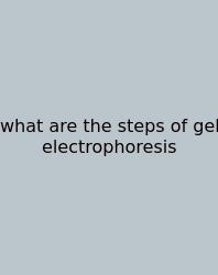 What Are The Steps Of Gel Electrophoresis