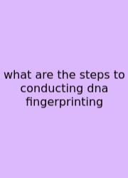 What Are The Steps To Conducting Dna Fingerprinting