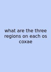 What Are The Three Regions On Each Os Coxae