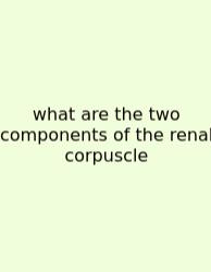What Are The Two Components Of The Renal Corpuscle