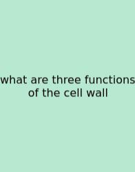 What Are Three Functions Of The Cell Wall
