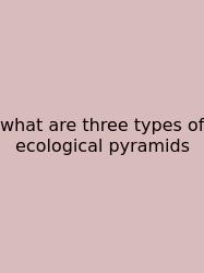 What Are Three Types Of Ecological Pyramids