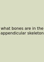 What Bones Are In The Appendicular Skeleton