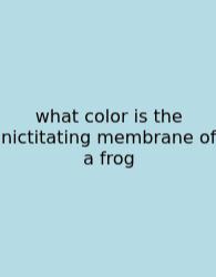 What Color Is The Nictitating Membrane Of A Frog