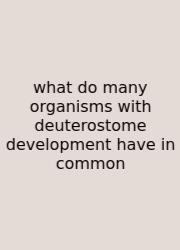 What Do Many Organisms With Deuterostome Development Have In Common