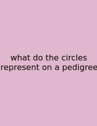 What Do The Circles Represent On A Pedigree