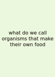 What Do We Call Organisms That Make Their Own Food